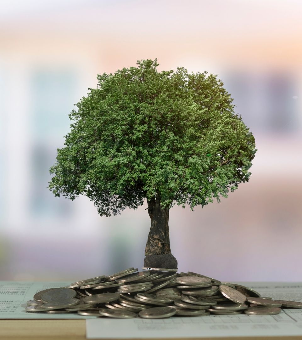 Investment growth